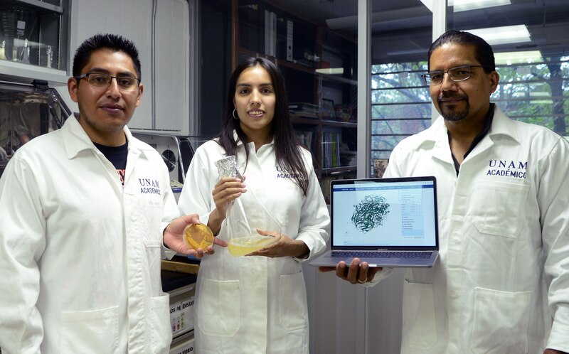 Investigadores de la UNAM desarrollan nuevo método para estudiar la estructura de las proteínas