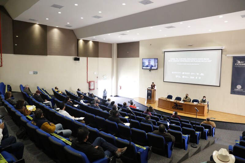 Curso "El control biológico como base en el manejo integrado de plagas de la vid"