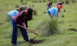 Naucalpan impulsa reforestación en zonas estratégicas    