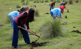 Naucalpan impulsa reforestación en zonas estratégicas    