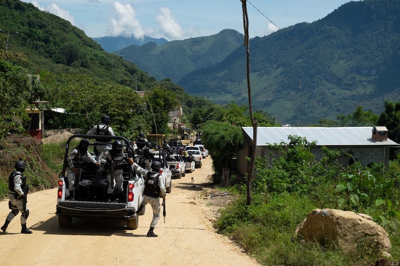 Militares mexicanos en un convoy de vehículos todoterreno patrullan un camino rural en una zona montañosa.