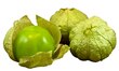 Profeco informa los precios máximos y mínimos del tomate verde