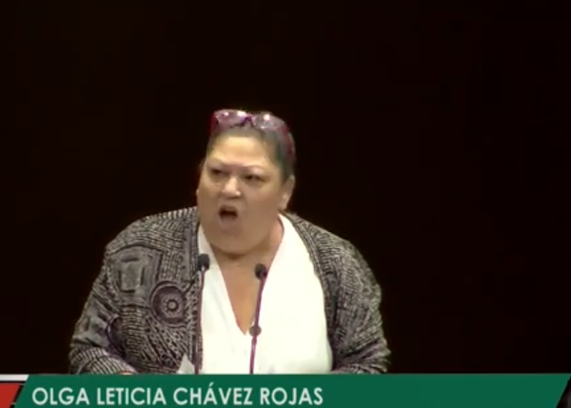 La diputada Olga Leticia Chávez Rojas exige respeto al Congreso de la Unión
