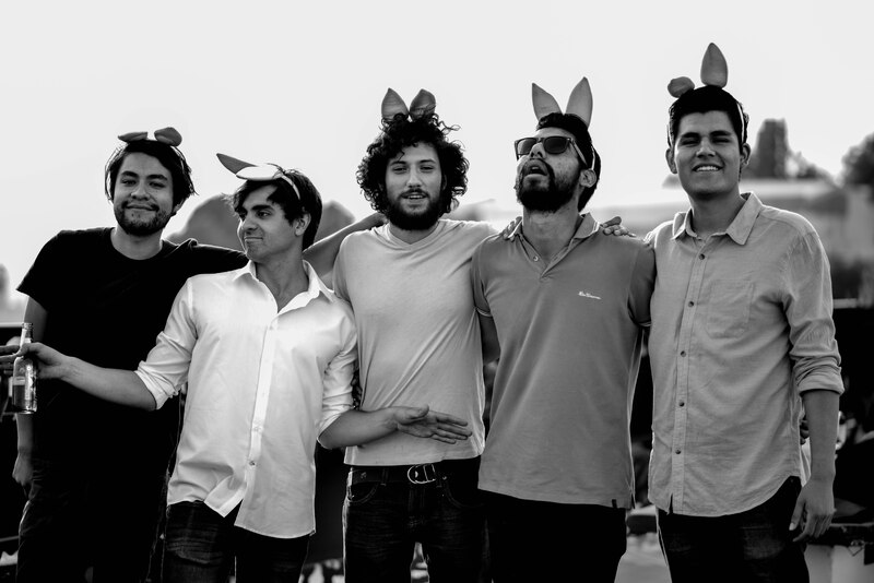 Conejos en la azotea