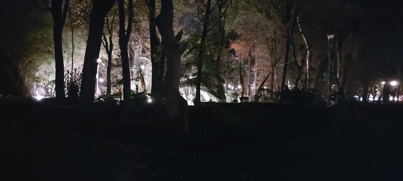 Parque iluminado por la noche