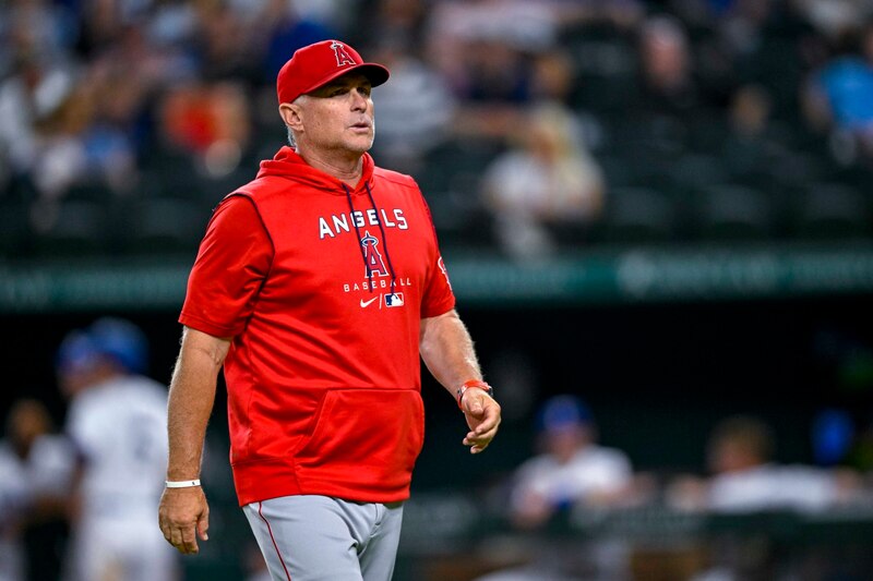 El manager de los Angelinos, Joe Maddon, observa el juego desde el dugout.