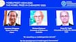 Nobel de Química es para tres científicos por el desarrollo de estructuras metal-orgánicas