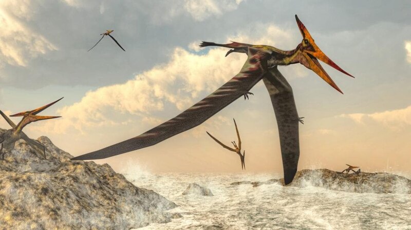 Pterodáctilos volando sobre el mar