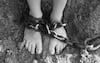 Médicos Sin Fronteras advierte sobre falta de atención oportuna a personas sobrevivientes de tortura y violencia extrema