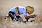 Remco Evenepoel gana la etapa 5 y Tadej Pogacar asume el liderato