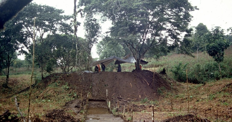 Campamento de refugiados en la selva