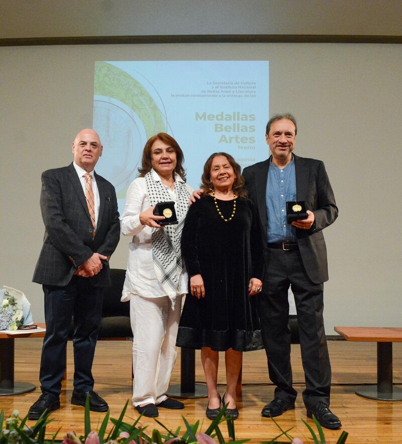 Entrega de las Medallas Bellas Artes 2014