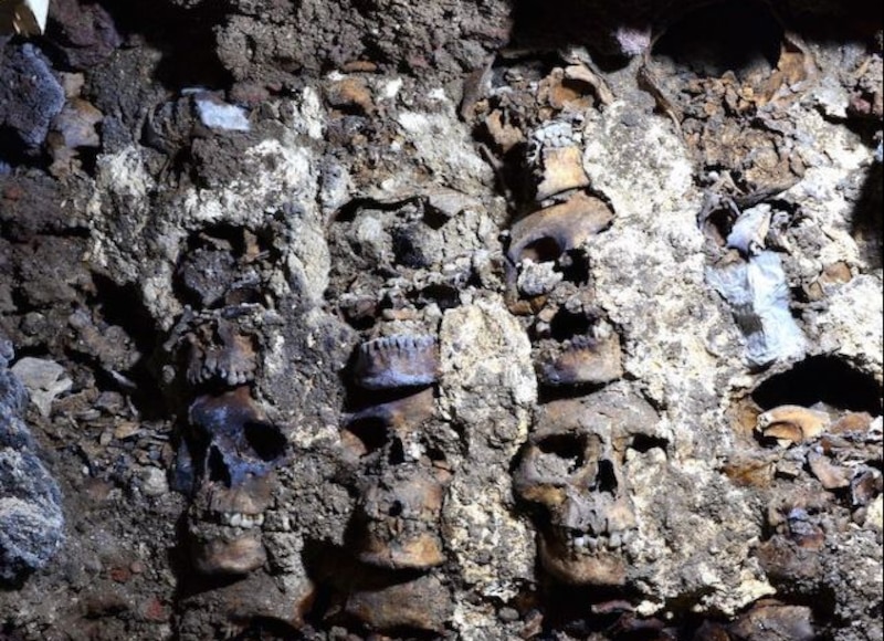 Cráneos humanos encontrados en una fosa común