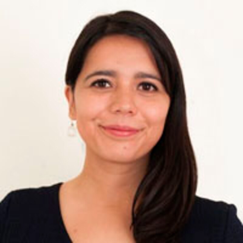 La Dra. Ana María Polo es una abogada y personalidad de la televisión cubanoamericana.