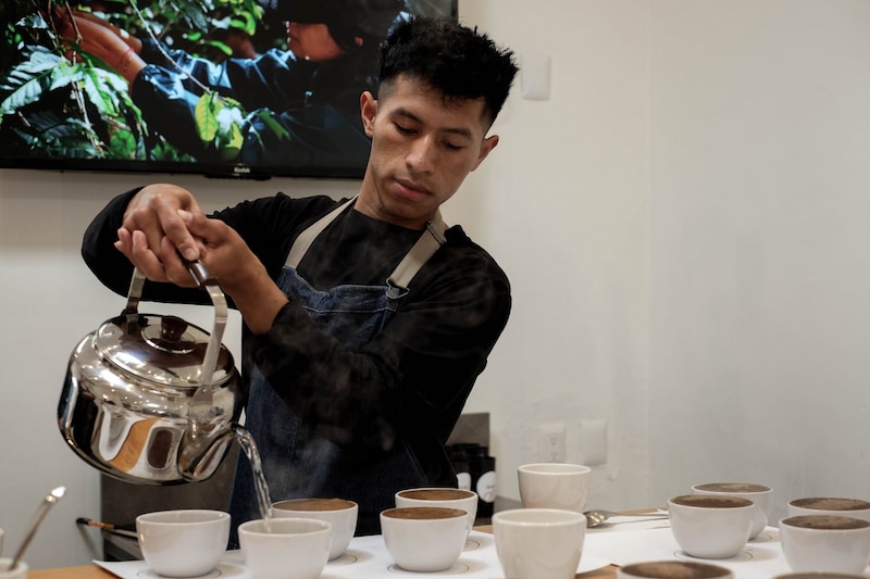 El territorio de Los Altos de Chiapas se ha convertido en un punto reconocido en el mundo del café de especialidad a nivel internacional, por la calidad de sus granos y resultados en taza. En el camino diferentes familias de la región se han beneficiado en conocimiento y economía a partir del buen trato de la tierra y la fruta cosechada de las plantas del café. Hoy en día no solo tienen la opción de vender su café a precios bajos a los llamados coyotes, que son quienes con transporte sacan los granos de las comunidades y los venden a la industria del café comercial. Hoy en día diferentes formas comunitarias de aprendizaje y producción, dan grandes posibilidades a los caficultores de vender por arriba de un 30?l valor que dictamina la bolsa internacional del denominado oro verde a un comercio de alta calidad a nivel estatal, nacional e internacional; como una apuesta en contra el sistema de la industria alimentaria que desfavorece a quien trabaja, vive y cuida la tierra y los alimentos antes de que lleguen a las mesas de los consumidores. La especialización e intercambio de conocimientos entre productores y vendedores ha permitido una mejora en las cosechas año con año en diferentes proyectos desarrollados en territorio chiapaneco.