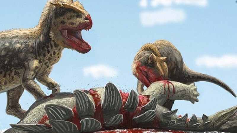 Dinosaurios luchando