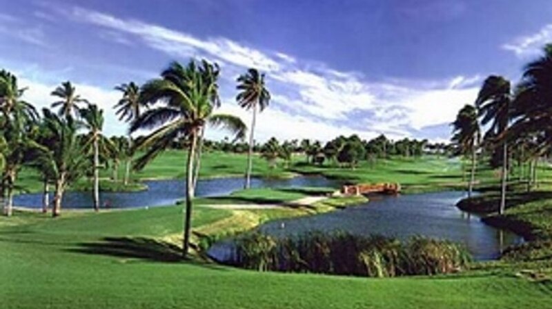 Campo de golf con palmeras y lago