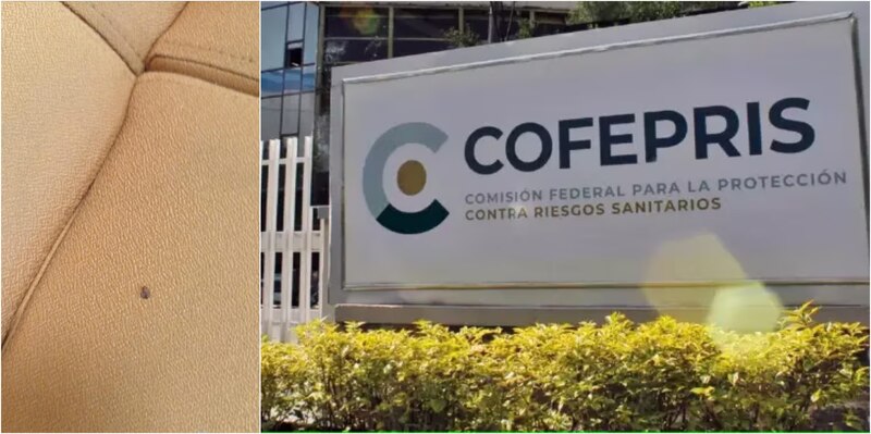 COFEPRIS alerta sobre riesgos de comprar medicamentos falsos por internet
