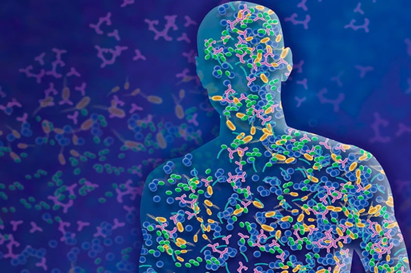 El microbioma humano