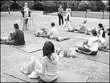 Los perros también practican yoga