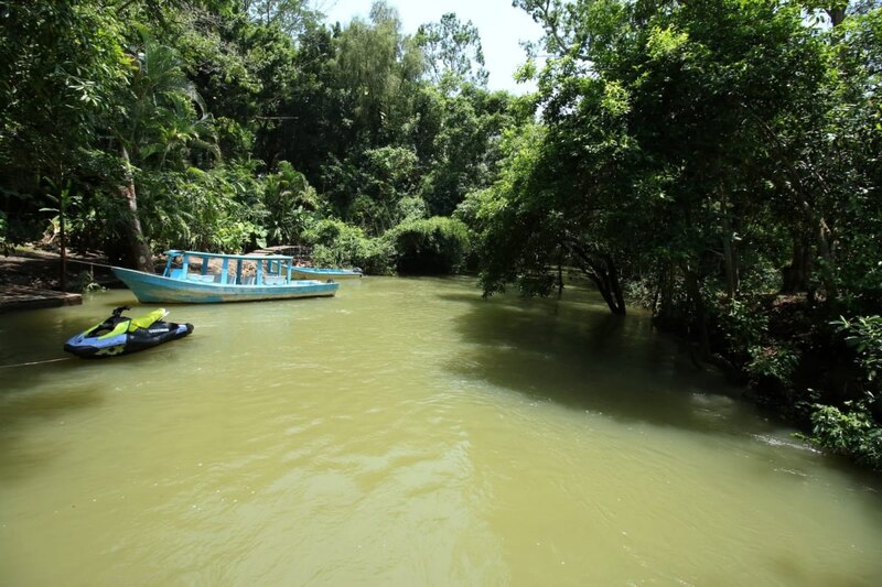 Paseo en barco por la selva tropical
