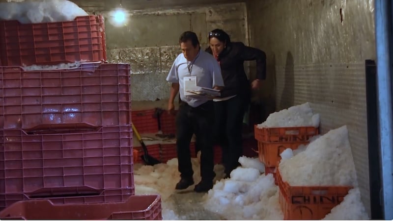 Operativos Conapesca  De enero a noviembre de 2025, se decomisó más de cinco mil toneladas de producto pesquero ilegal, cuatro mil más que en el mismo periodo de 2024