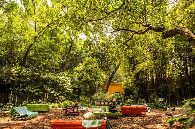 Vista panorámica del audiorama en el interior del Bosque de Chapultepec