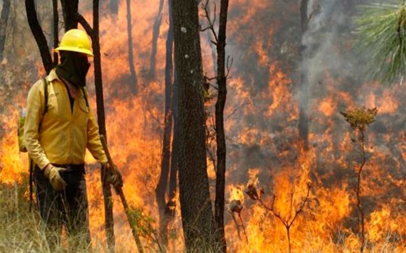 Bombero forestal combate un incendio forestal