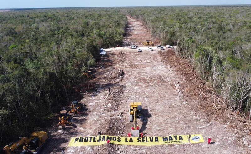 Construcción del Tren Maya en la selva de Quintana Roo