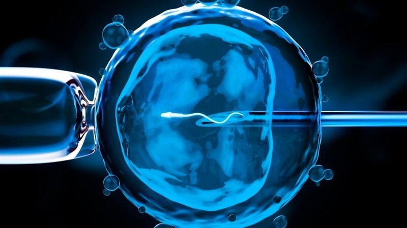 Fecundación in vitro