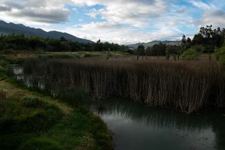 La crisis sistémica de nuestros humedales 