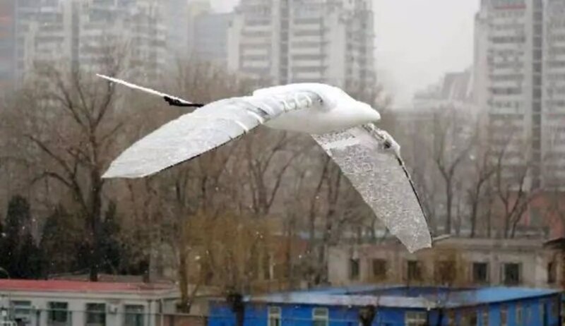 Un dron con forma de pájaro vuela sobre una ciudad.