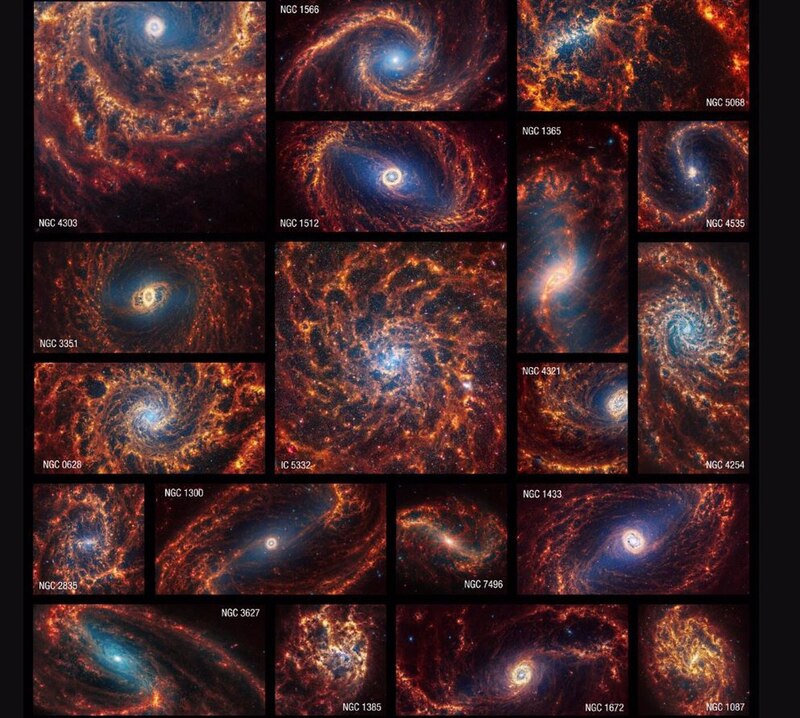 Galaxias
