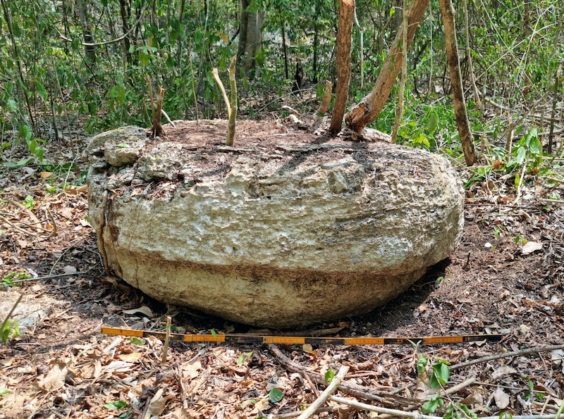 Enorme roca en el bosque