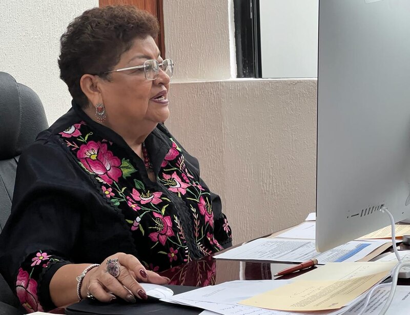 La Secretaria de Educación Pública, Delfina Gómez Álvarez, durante una videoconferencia.