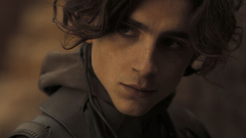 Timothée Chalamet, el actor del momento