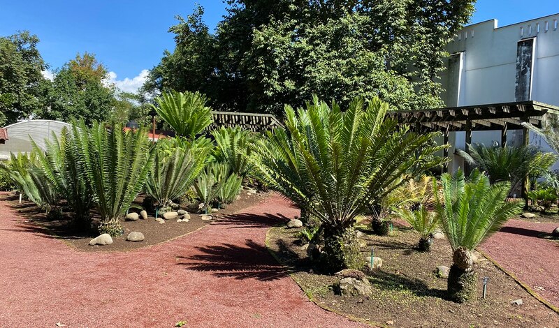 Jardín botánico