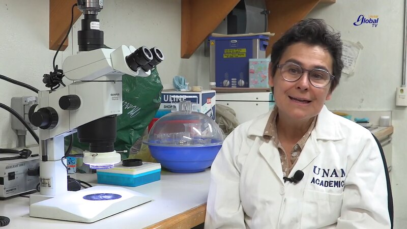 Investigadora de la UNAM desarrolla método para detectar virus y bacterias en alimentos