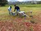 Gobierno del Edoméx protege cultivos de maíz con fumigación aérea mediante drones T40