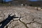 Conagua: almacenar agua para la población, única forma para mitigar efectos del cambio climático 