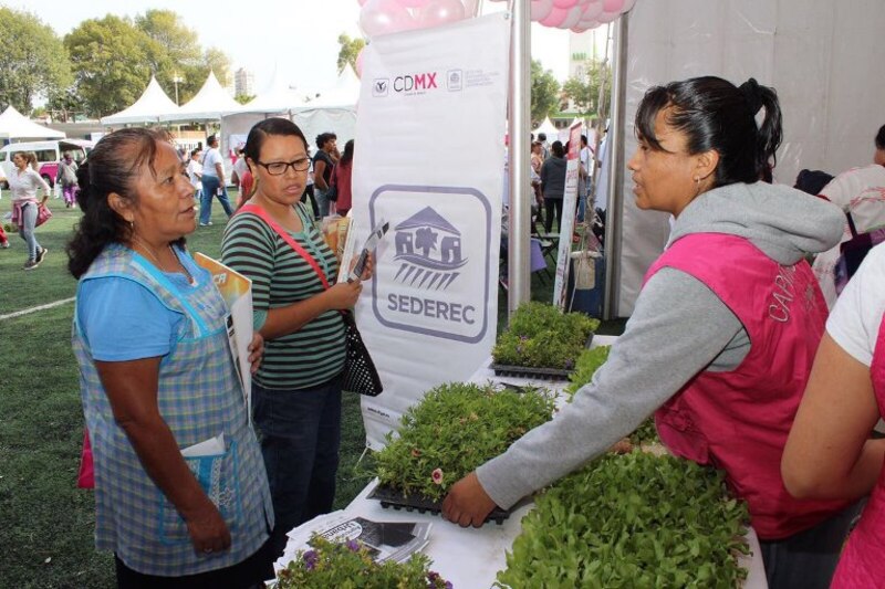 Mujeres en la feria de plantas