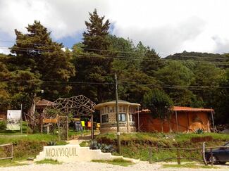 Alertan por venta irregular de lotes en reserva ecológica de Chiapas 