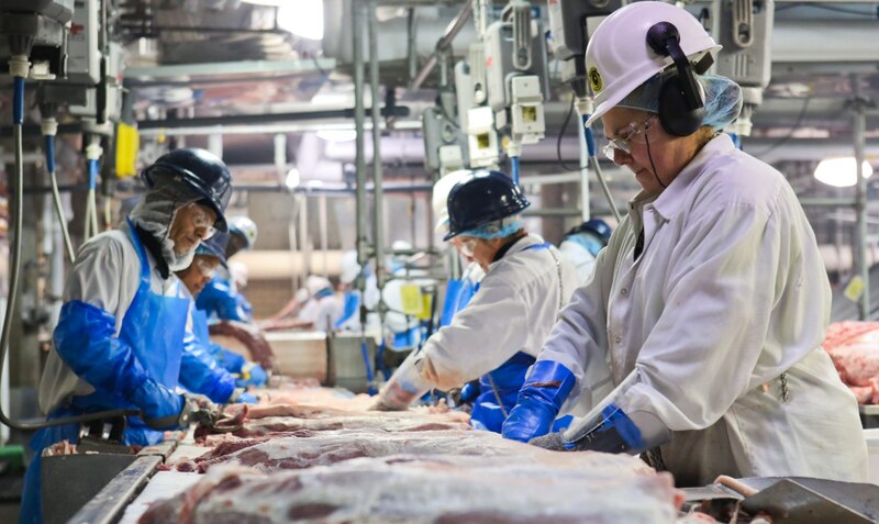 Trabajadores de una fábrica de carne