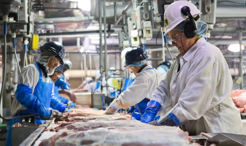 Trabajadores de una fábrica de carne
