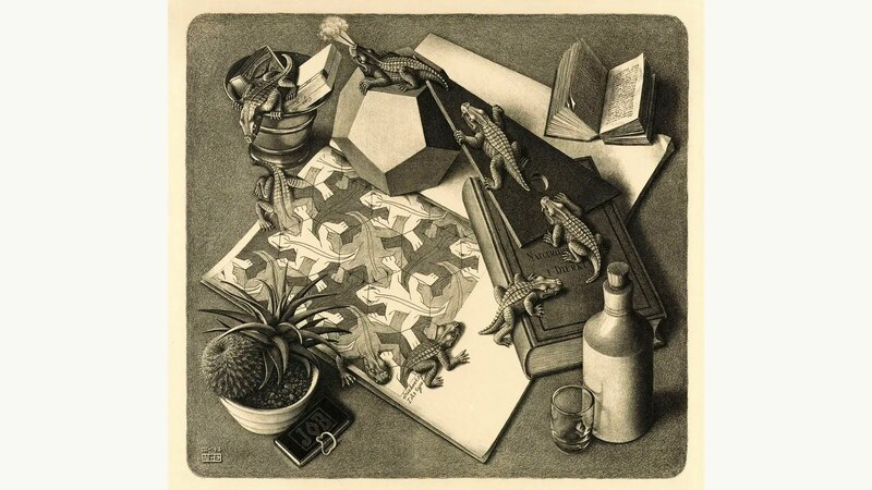 Reptiles y libros