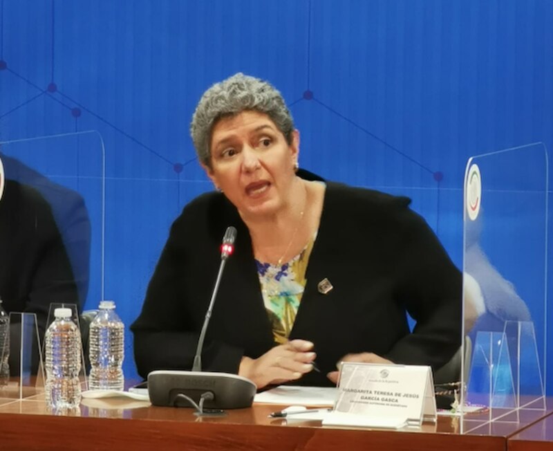 La senadora Guadalupe García García durante una sesión del Senado de México.