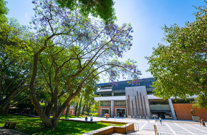 "Vista del campus del ITESO, destacando su infraestructura sostenible con paneles solares y espacios verdes."