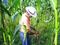 Unión campesina pide nuevo Pacto Social 