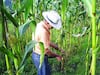 Unión campesina pide nuevo Pacto Social 