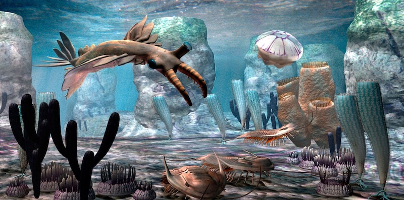 El mundo marino en la era Cámbrica